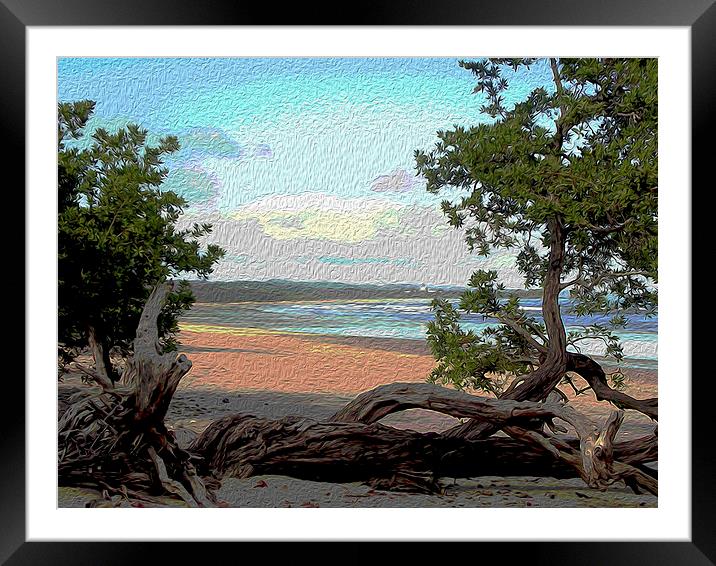  Beach at Playa Guionnes Framed Mounted Print by james balzano, jr.