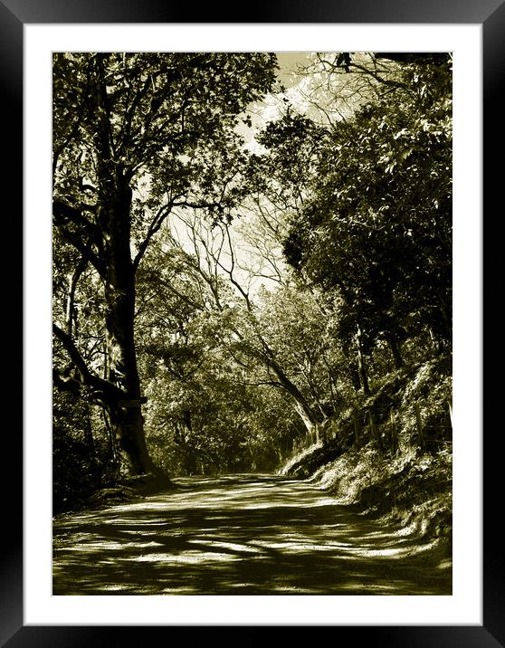 Tritone Image of the Road to Nosara Framed Mounted Print by james balzano, jr.