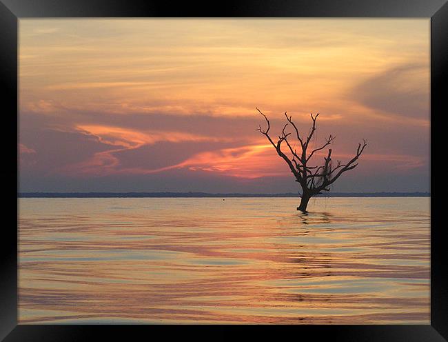 Lake Maracaibou Sunset Framed Print by tim bowron