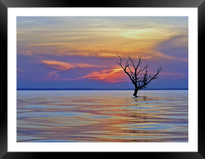 Lake Maracaibou Sunset, Venezuela Framed Mounted Print by tim bowron