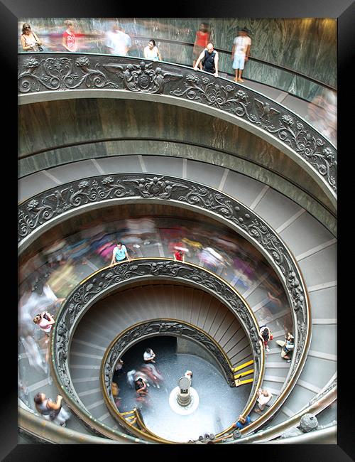 Vatican staircase Framed Print by dave bownds