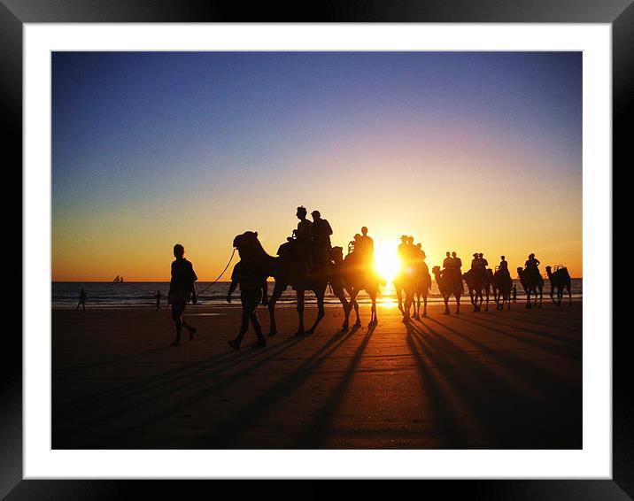 Desert meets sea meets camels Framed Mounted Print by dave bownds