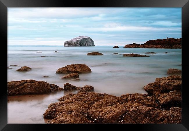 Bass Rock Framed Print by Aj’s Images