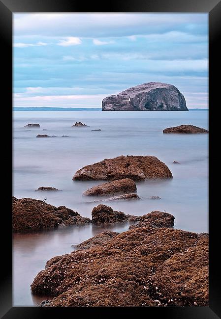 The Bass Rock Framed Print by Aj’s Images