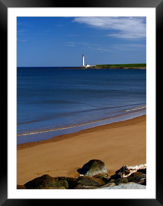 Montrose Beach And Scurdyness Lighthouse. Framed Mounted Print by Aj’s Images