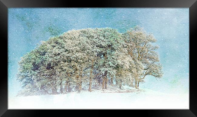 Snow Flakes Fall. Framed Print by Aj’s Images