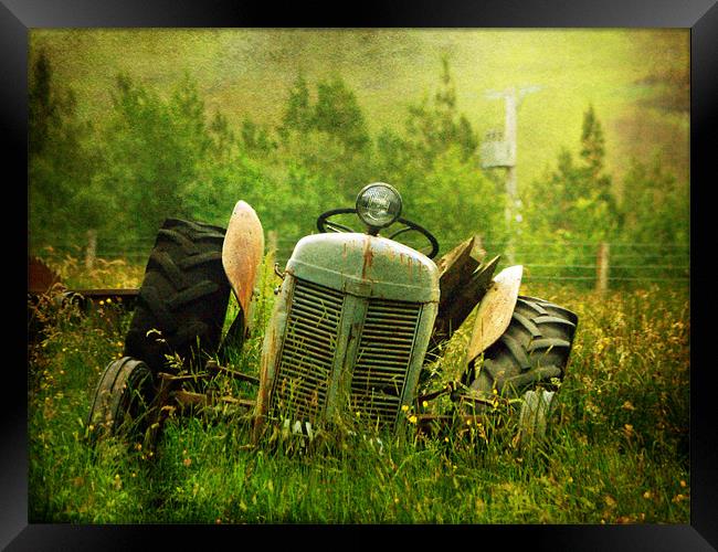 Tractor Tears Framed Print by Aj’s Images