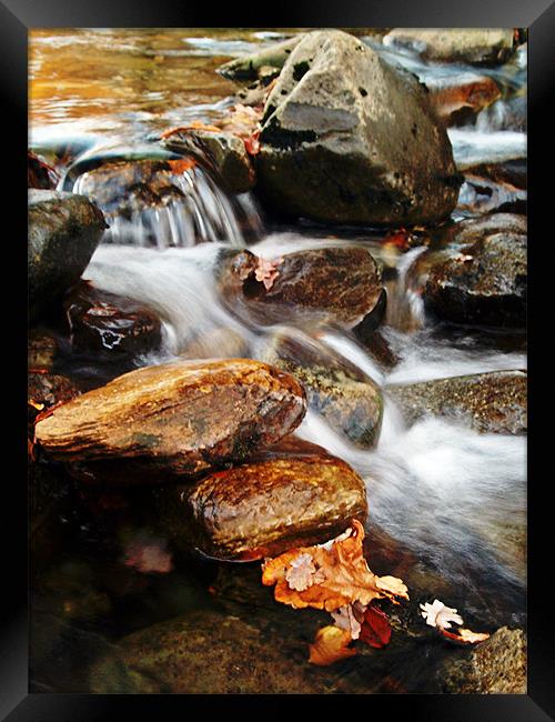 Dream A Little Stream With Me #2 Framed Print by Aj’s Images