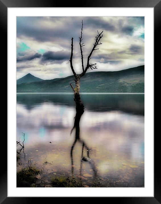 Lone Tree on Loch Rannoch Framed Mounted Print by Aj’s Images