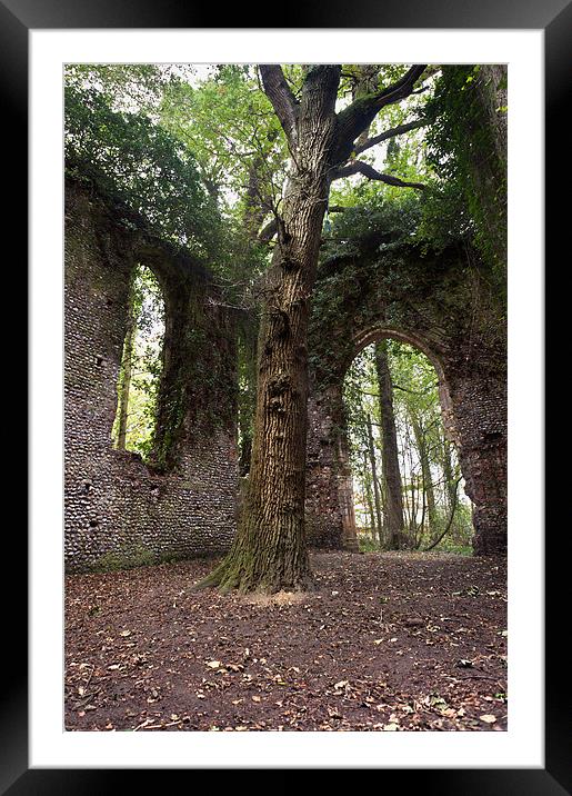 St Mary's Church, East Somerton Framed Mounted Print by Stephen Mole