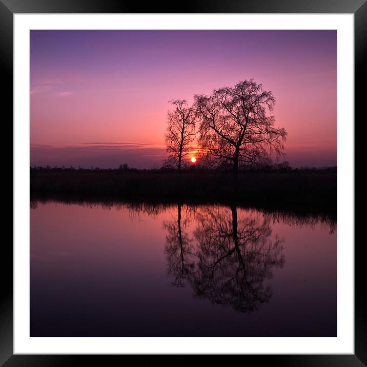Tree Sunset Framed Mounted Print by Stephen Mole