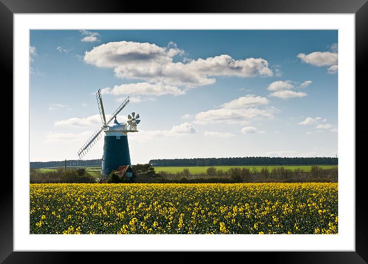 Burnham Windmill oilseed rape field Framed Mounted Print by Stephen Mole