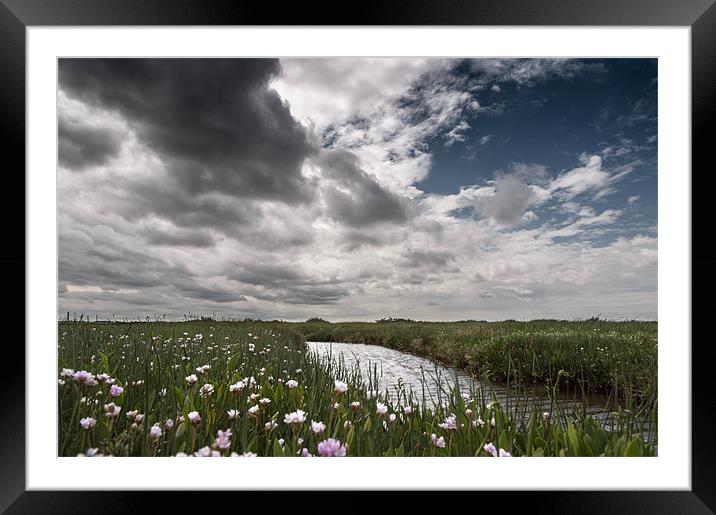 Flowers at Morston Framed Mounted Print by Stephen Mole