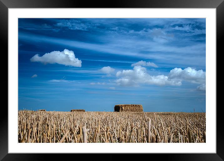 Ground level straw bales Framed Mounted Print by Stephen Mole