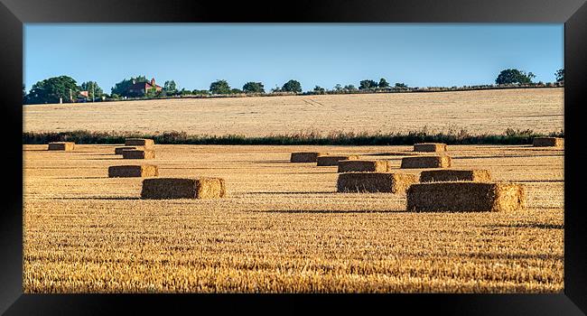 Square bales of Straw Framed Print by Stephen Mole