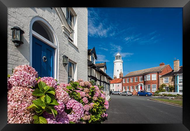 Southwold Lighthouse Hydrangea Framed Print by Stephen Mole