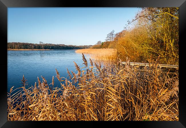 Rollesby Broad in Norfolk Framed Print by Stephen Mole
