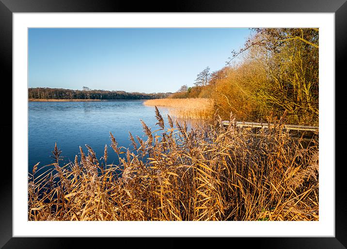 Rollesby Broad in Norfolk Framed Mounted Print by Stephen Mole