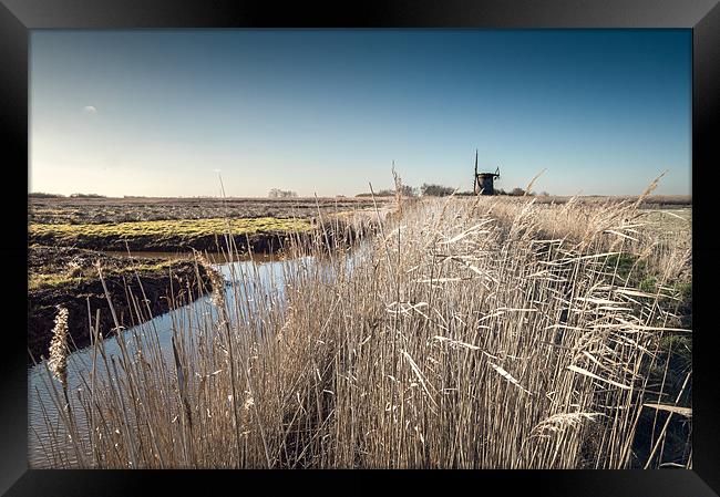 Brograve Mill through the Reeds Framed Print by Stephen Mole