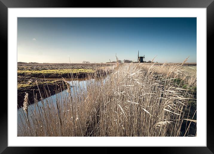 Brograve Mill through the Reeds Framed Mounted Print by Stephen Mole