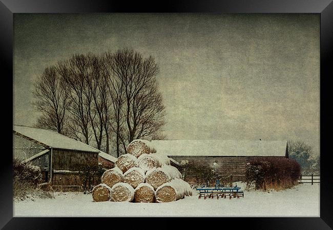 Hay bales in the snow Framed Print by Stephen Mole