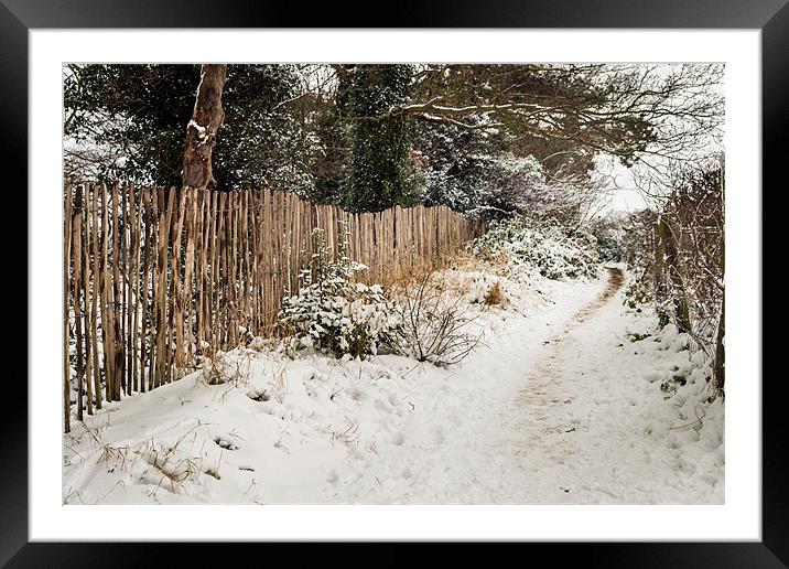 Snowy lane Framed Mounted Print by Stephen Mole