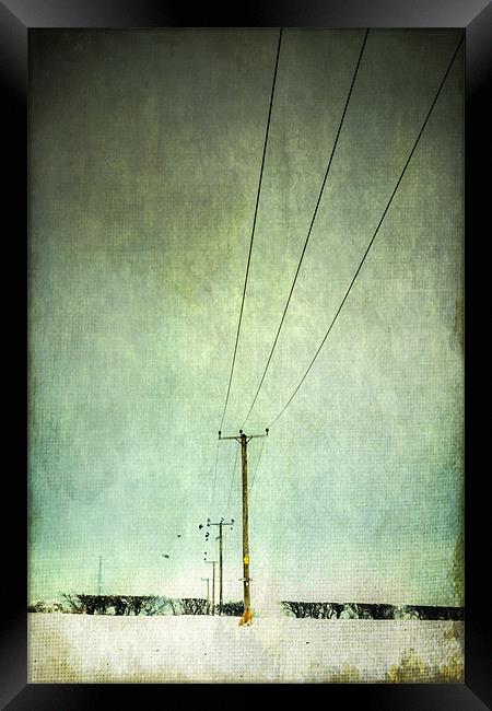Power lines Framed Print by Stephen Mole