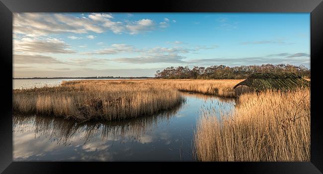 Hickling Broad Framed Print by Stephen Mole