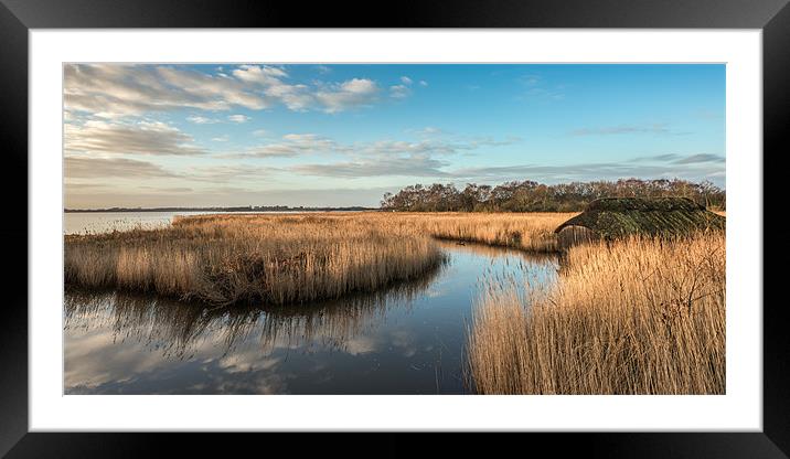 Hickling Broad Framed Mounted Print by Stephen Mole