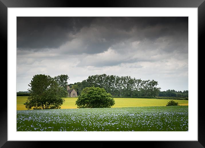 Field of Linseed Oil Framed Mounted Print by Stephen Mole