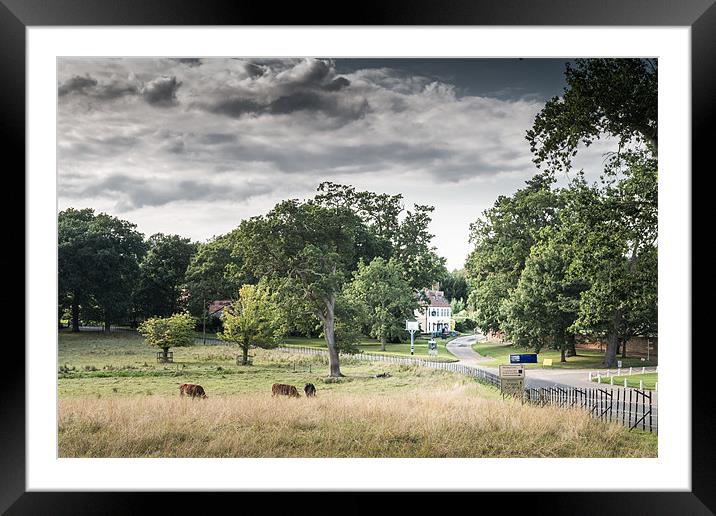 Buckinghamshire Arms Framed Mounted Print by Stephen Mole