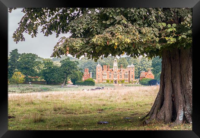 Blickling Hall by a Beech Tree Framed Print by Stephen Mole