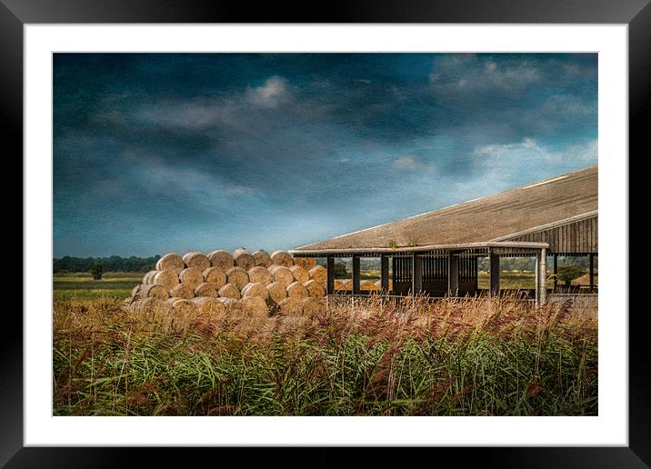 Hay Bales and Barn Framed Mounted Print by Stephen Mole