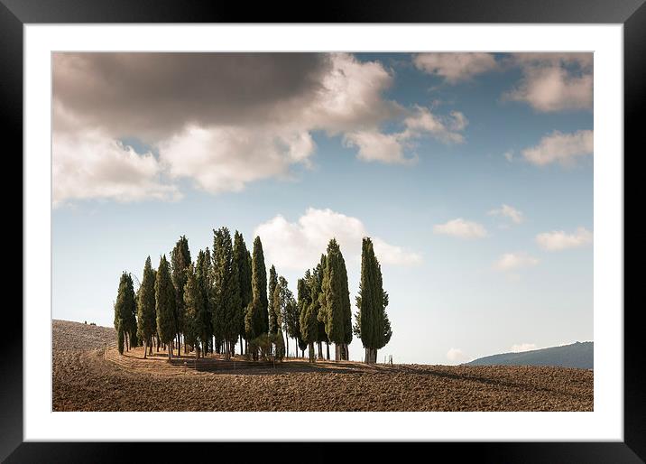 Trees in Tuscany Framed Mounted Print by Stephen Mole