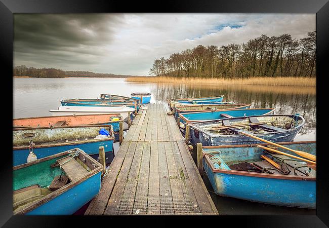 Filby Broad Framed Print by Stephen Mole