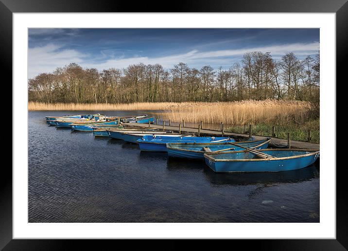 Moored dinghies at Filby Broad Framed Mounted Print by Stephen Mole