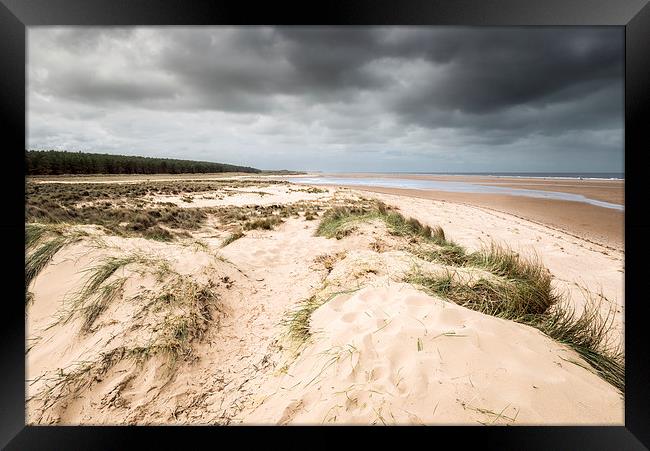 Holkham Beach and Woods Framed Print by Stephen Mole