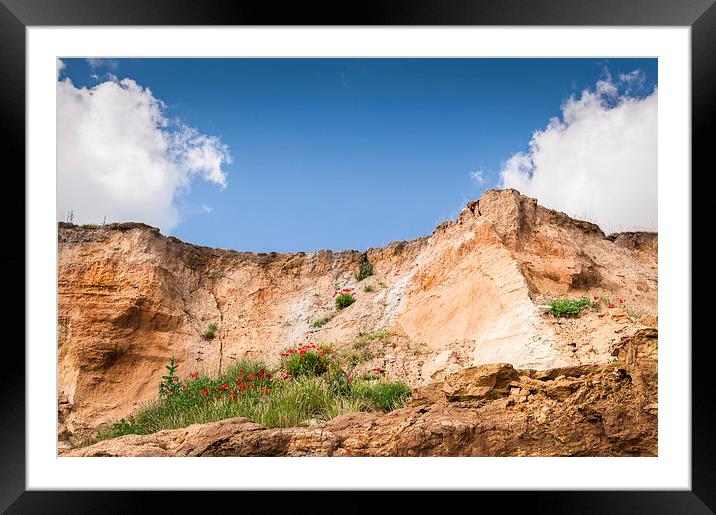 Poppies on a cliff Framed Mounted Print by Stephen Mole
