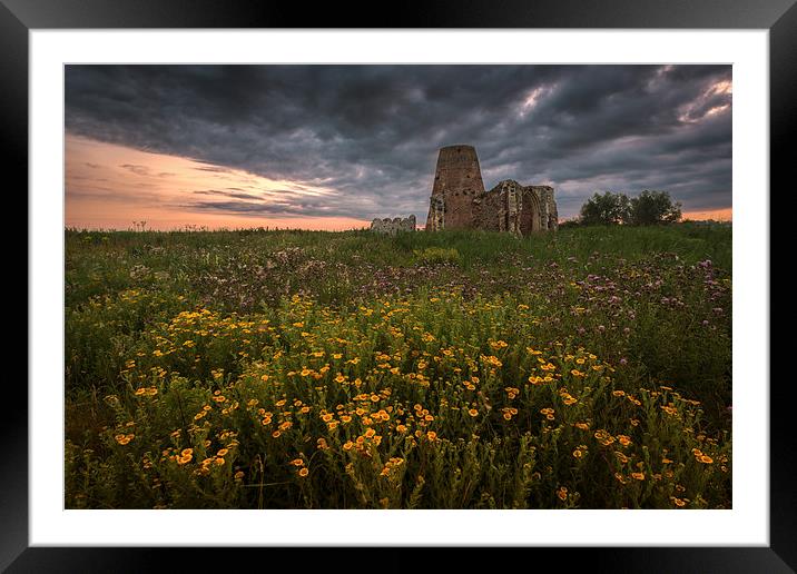 Wild Flowers at St Benets Abbey in Norfolk Framed Mounted Print by Stephen Mole