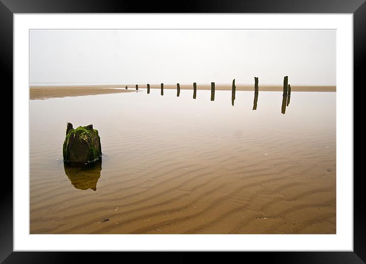 Lonely Framed Mounted Print by Stephen Mole
