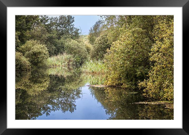  Upper Reaches of River Ant Framed Mounted Print by Stephen Mole