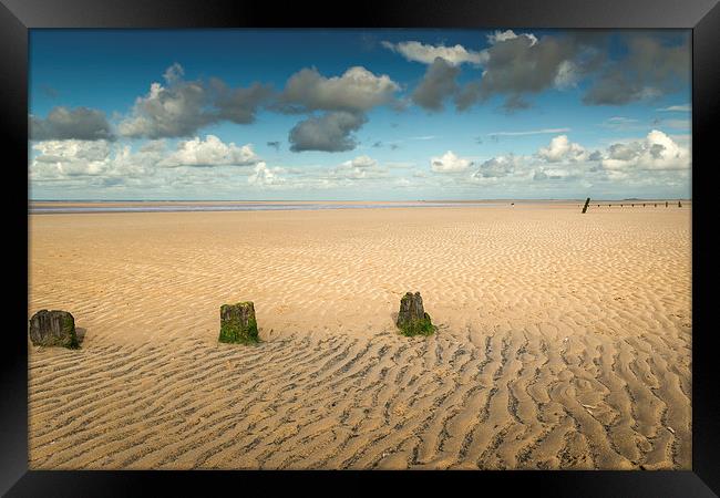  Stumps on Brancaster Beach Framed Print by Stephen Mole