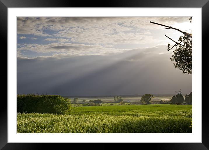 Into the light Framed Mounted Print by Stephen Mole