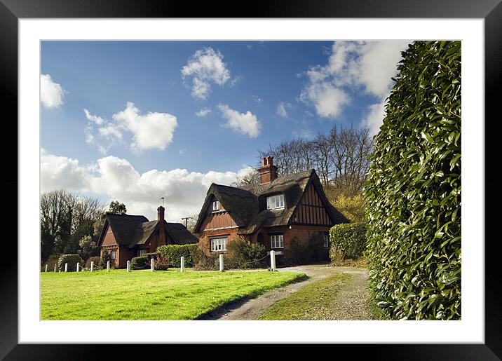 Thatched cottages on Woodbastwick  Village Green Framed Mounted Print by Stephen Mole