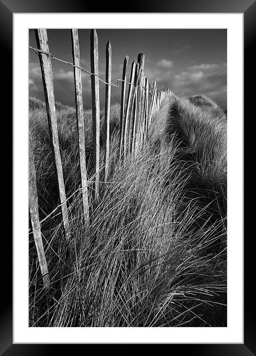 Picket path Framed Mounted Print by Stephen Mole