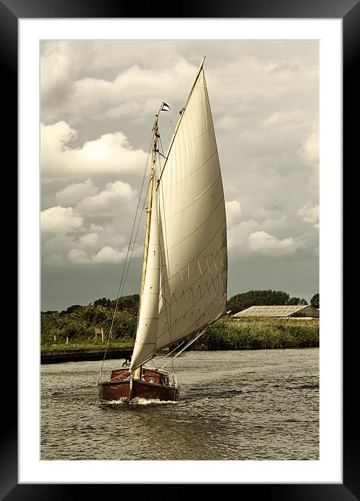Sailing head on Framed Mounted Print by Stephen Mole