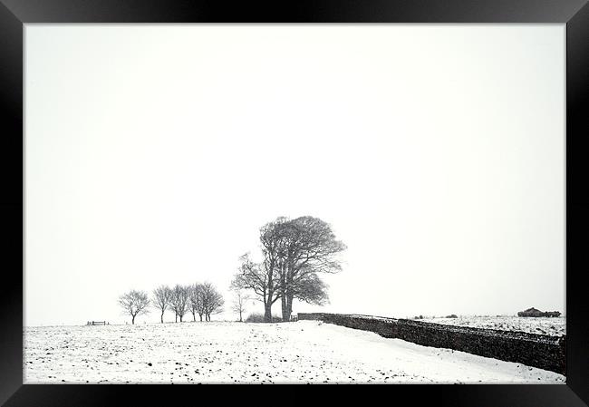 Trees in snow Framed Print by Stephen Mole