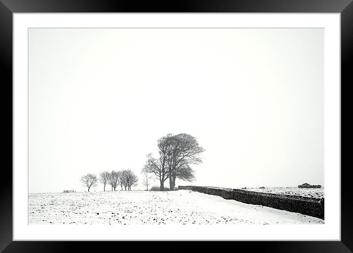 Trees in snow Framed Mounted Print by Stephen Mole