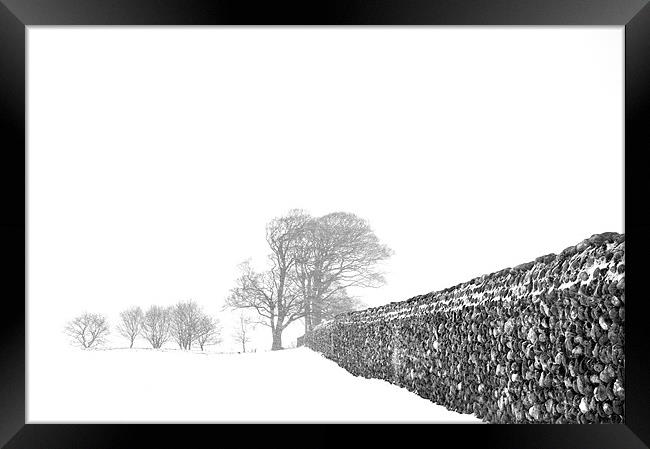 Trees in a blizzard Framed Print by Stephen Mole