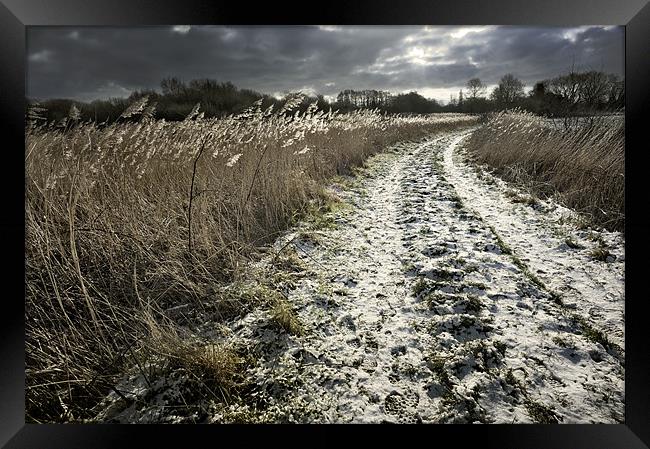 Snow tracks Framed Print by Stephen Mole